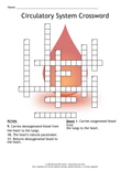 Circulatory System Crossword-Digital Download